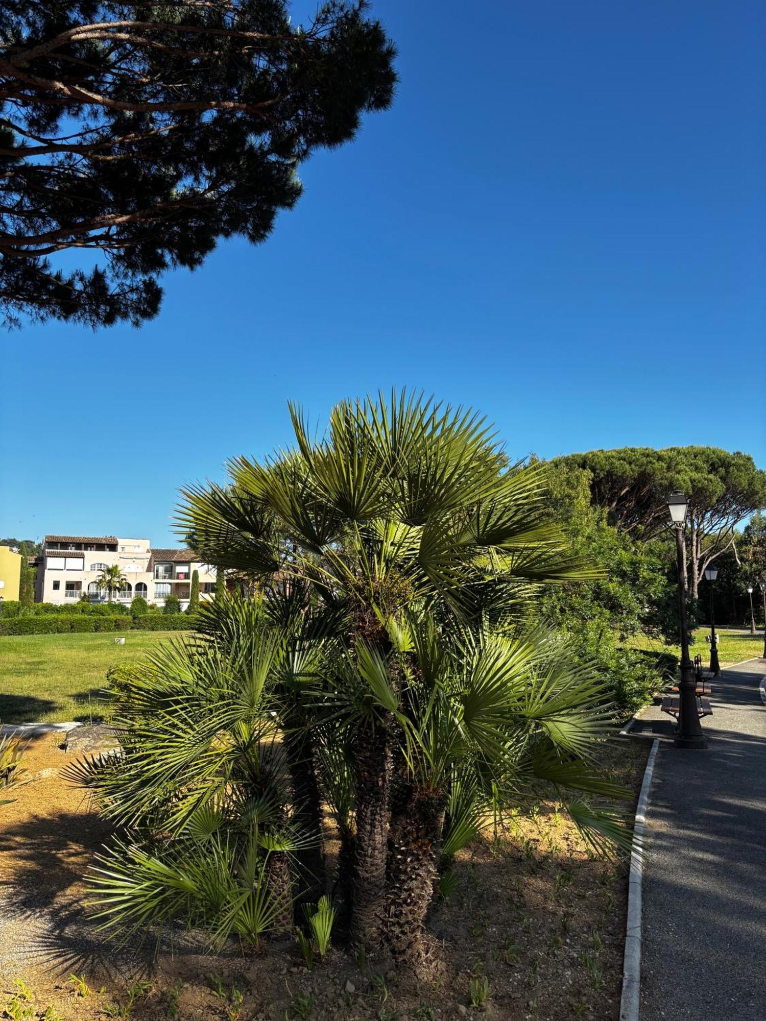 Apartamento La Vie Est Belle Gassin Exterior foto